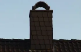 Im Schornstein gelandete Steinkäuze kommen oft nicht mehr heraus Steinkauz, Oldenburg